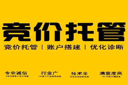 百度竞价广告创意设计：成功案例解析及启示